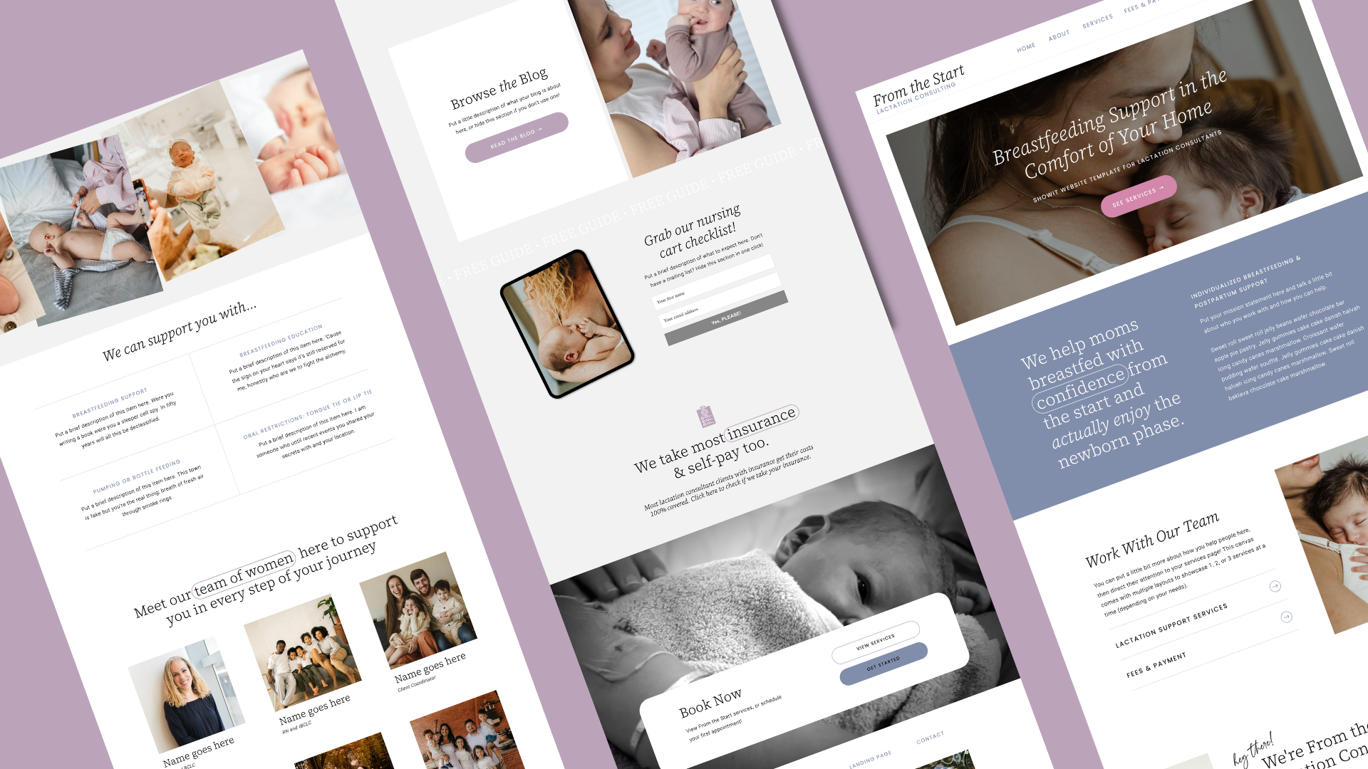 niche website templates for lactation consultant